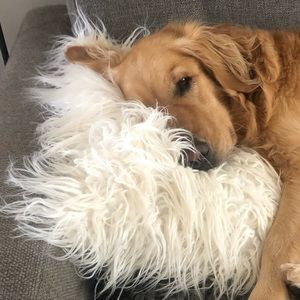 Meet your Posher, Lynn